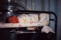 [20010214a_12.jpg]